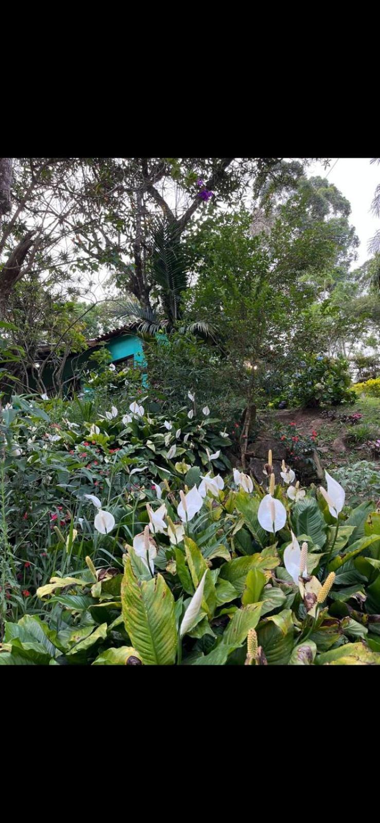 Chacara Para Descanso Com Piscina Aquecida Villa Piedade  Esterno foto